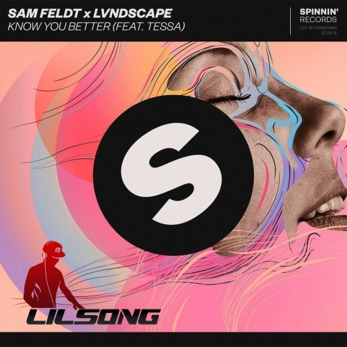 Sam Feldt & LVNDSCAPE Ft. Tessa - Know You Better